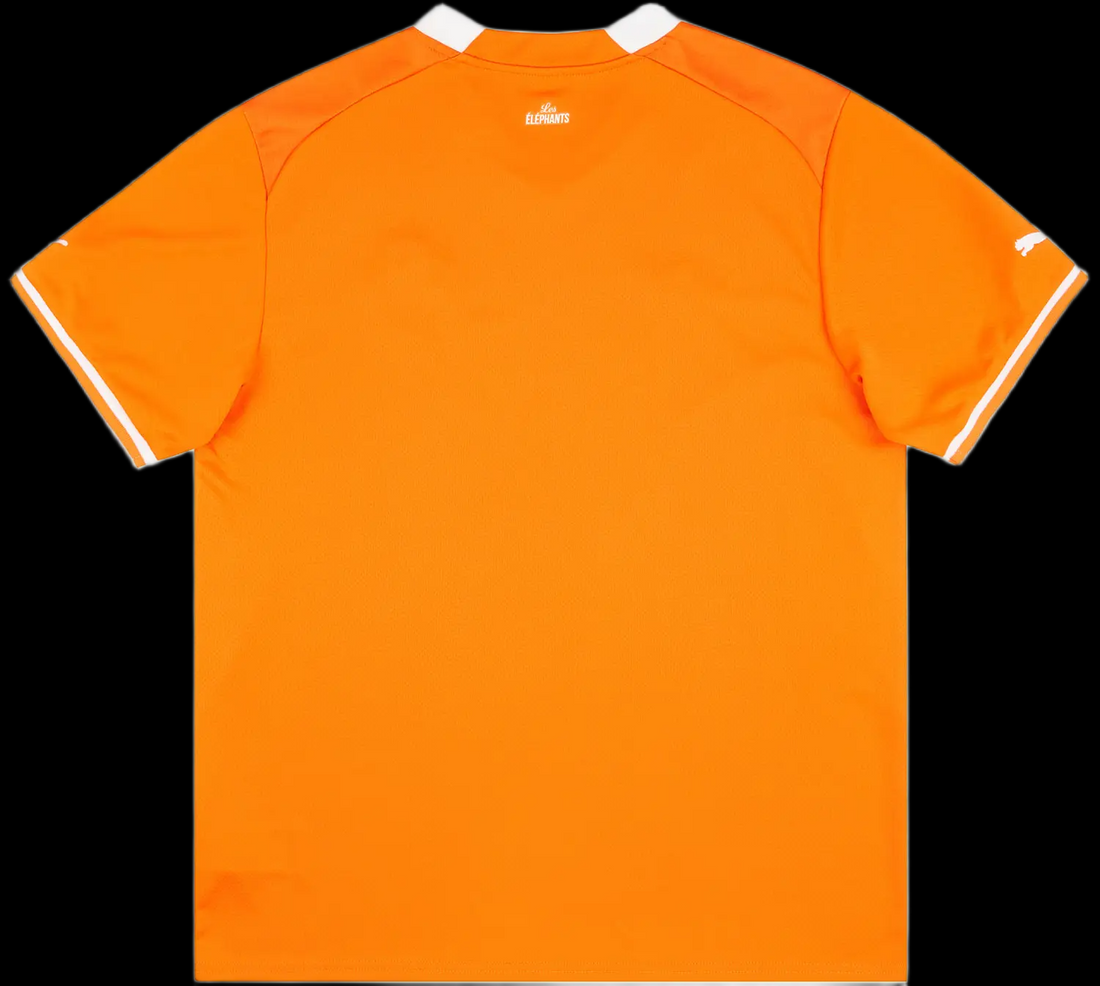 Cote d'Ivoire Home 22/24