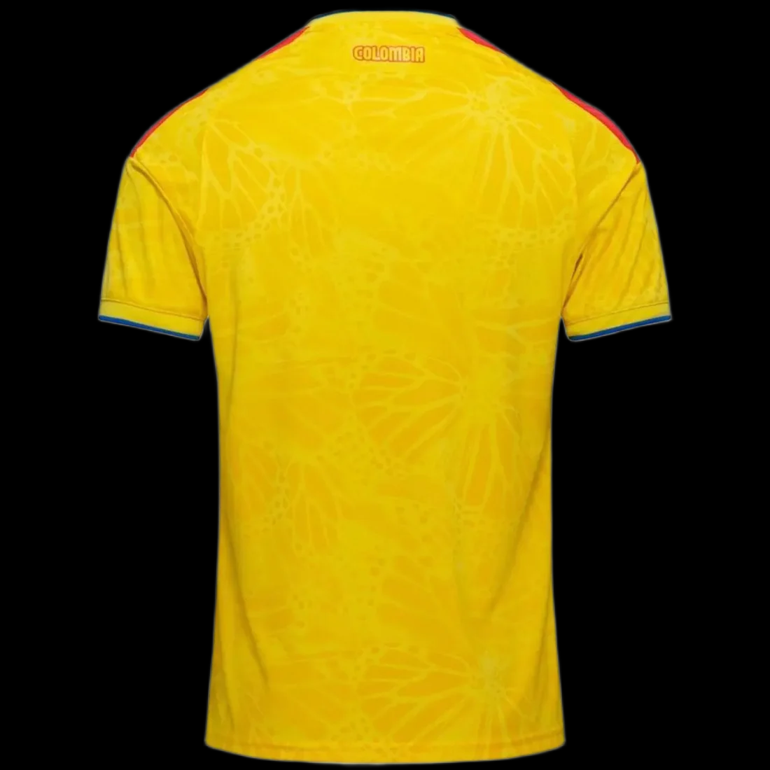 Colombia home 2026