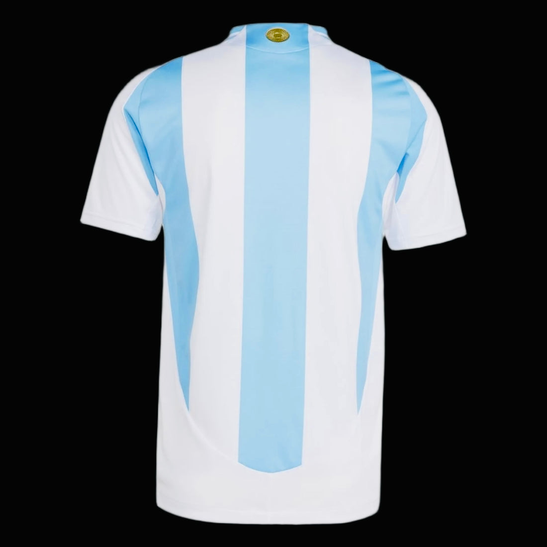 Argentina Home 24/25