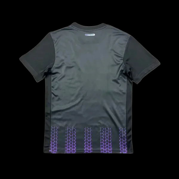 Toulouse Two Away 25/26